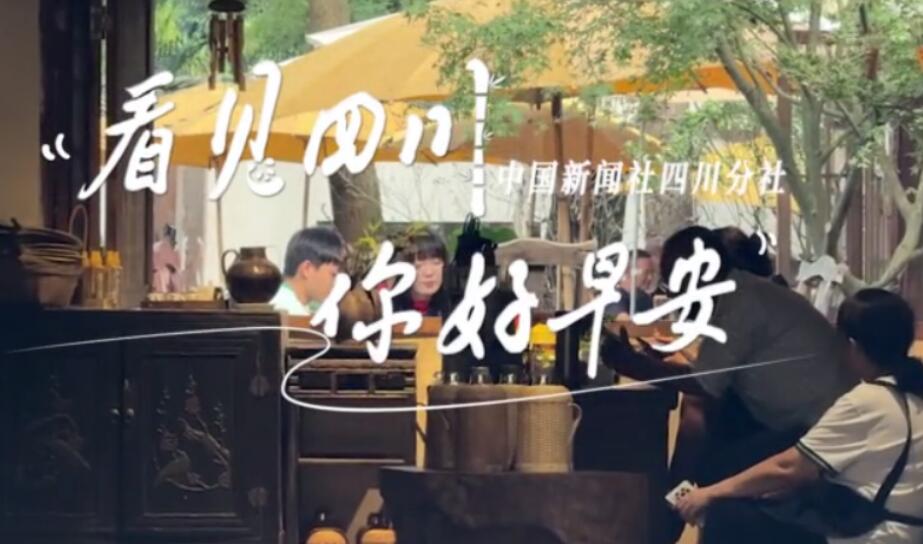 高大的泡桐树缀满钟形花冠