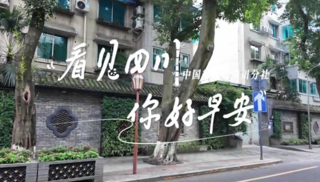 解说你看