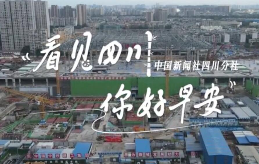 盈盈彩app官网