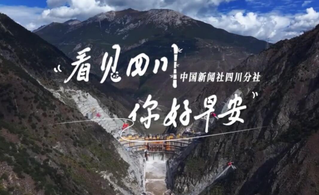 一芽一芽往外窜