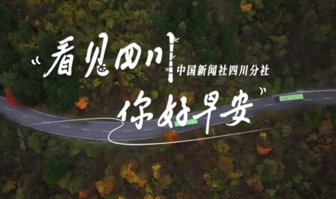游客在花海中一边欣赏美景