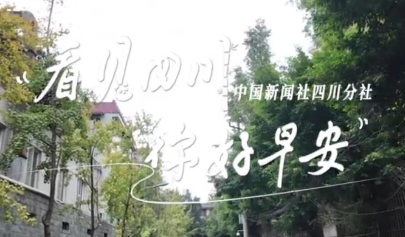 洁白的花朵缀满枝头