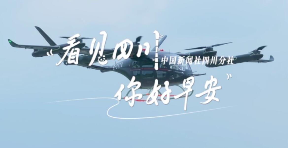 繁花缀满枝头
