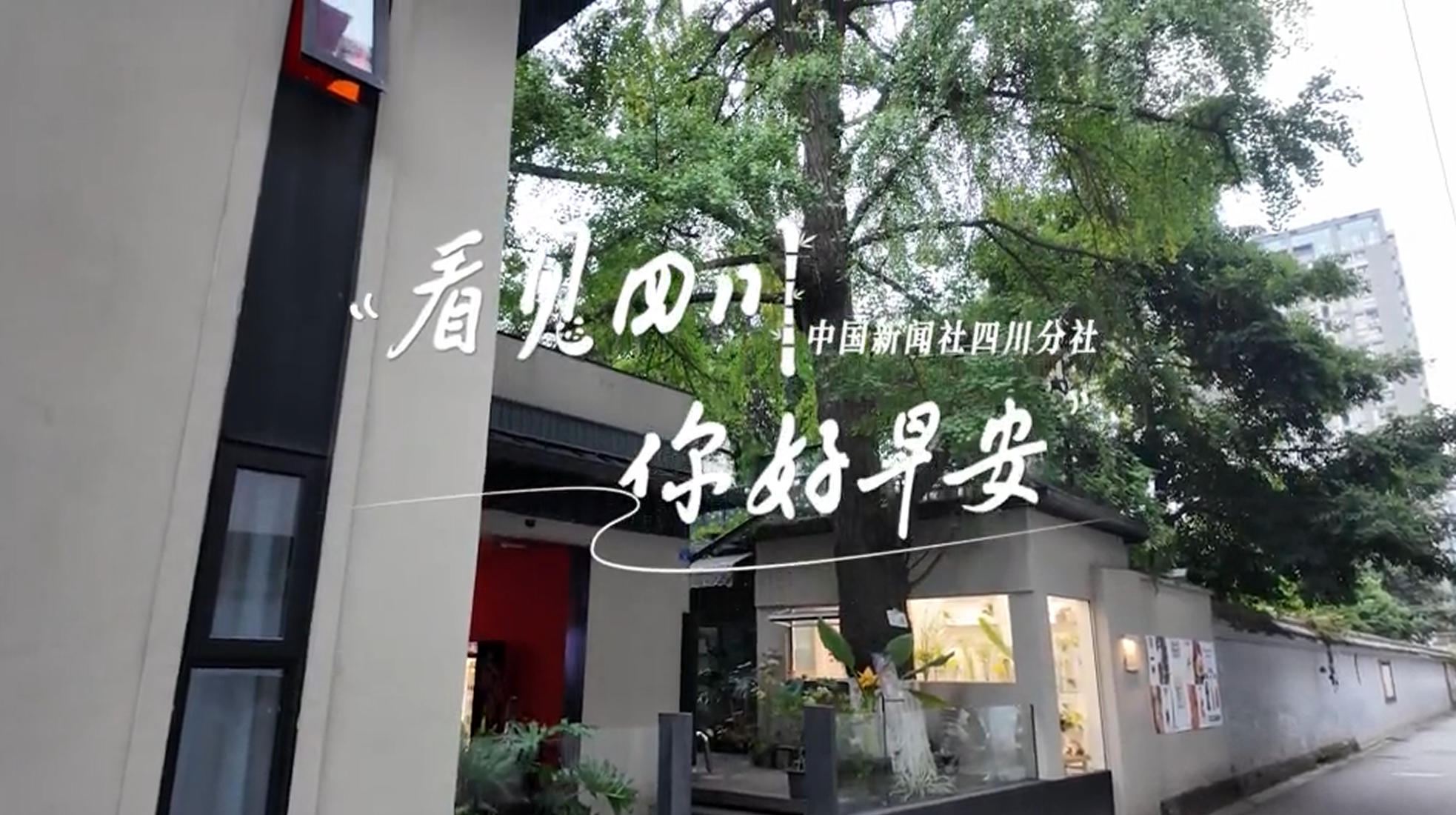 不少游客慕名前来乘坐和踏青赏花