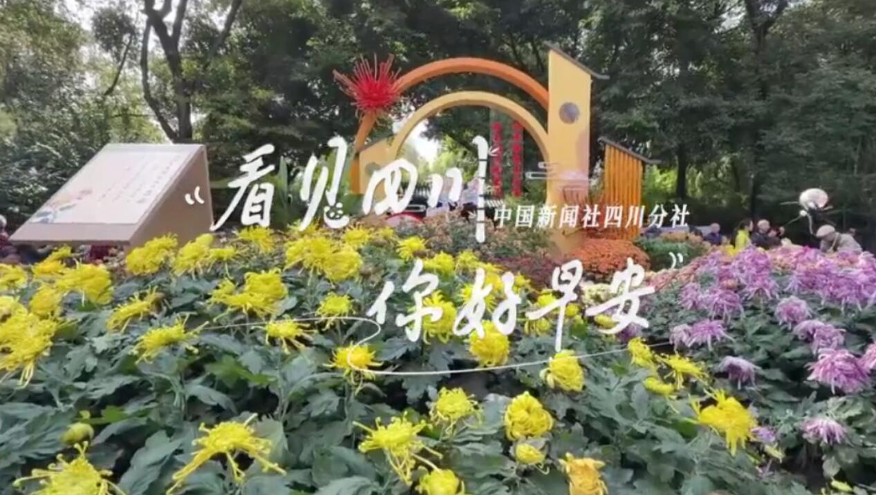 持续开放至第二季度