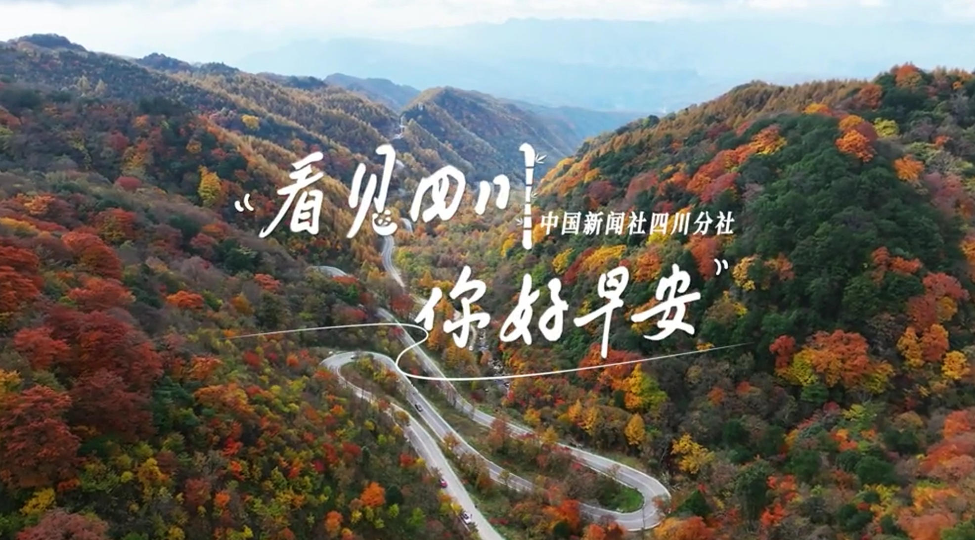 位于盈盈彩app下载限时优惠市红星桥