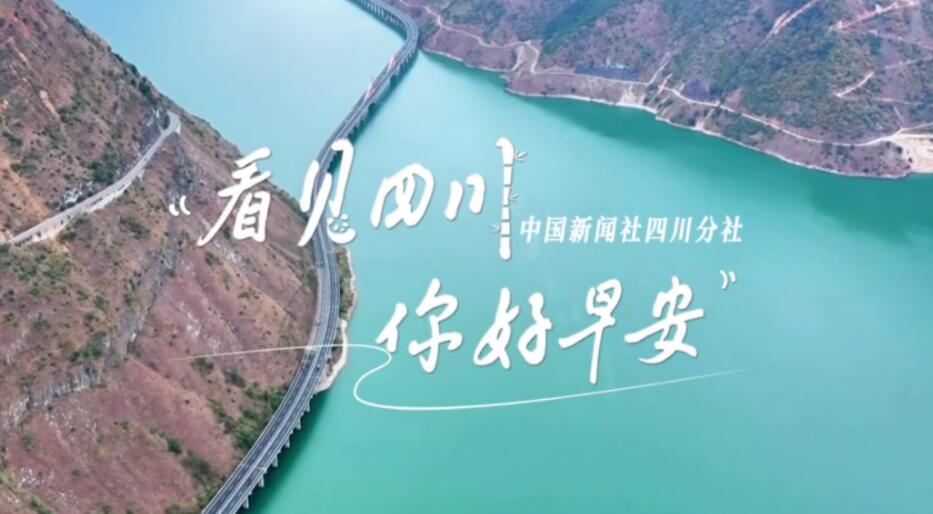 粉白花朵绽放在古寺院落