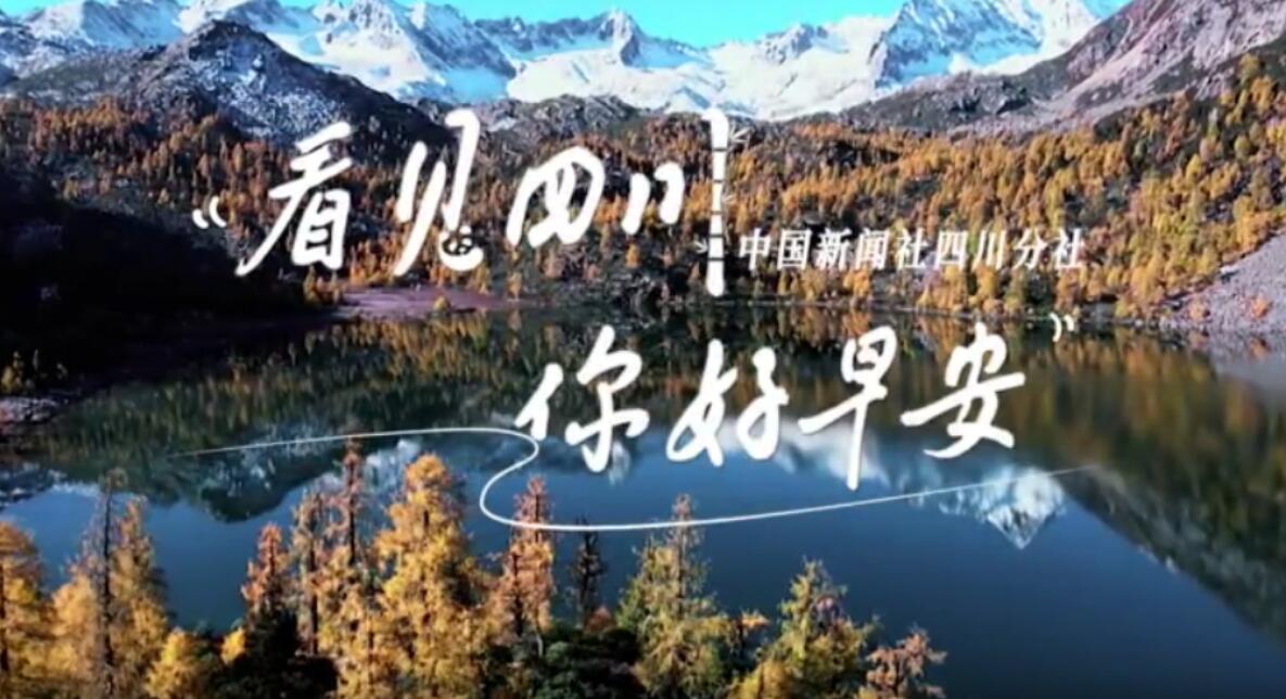 你好早安