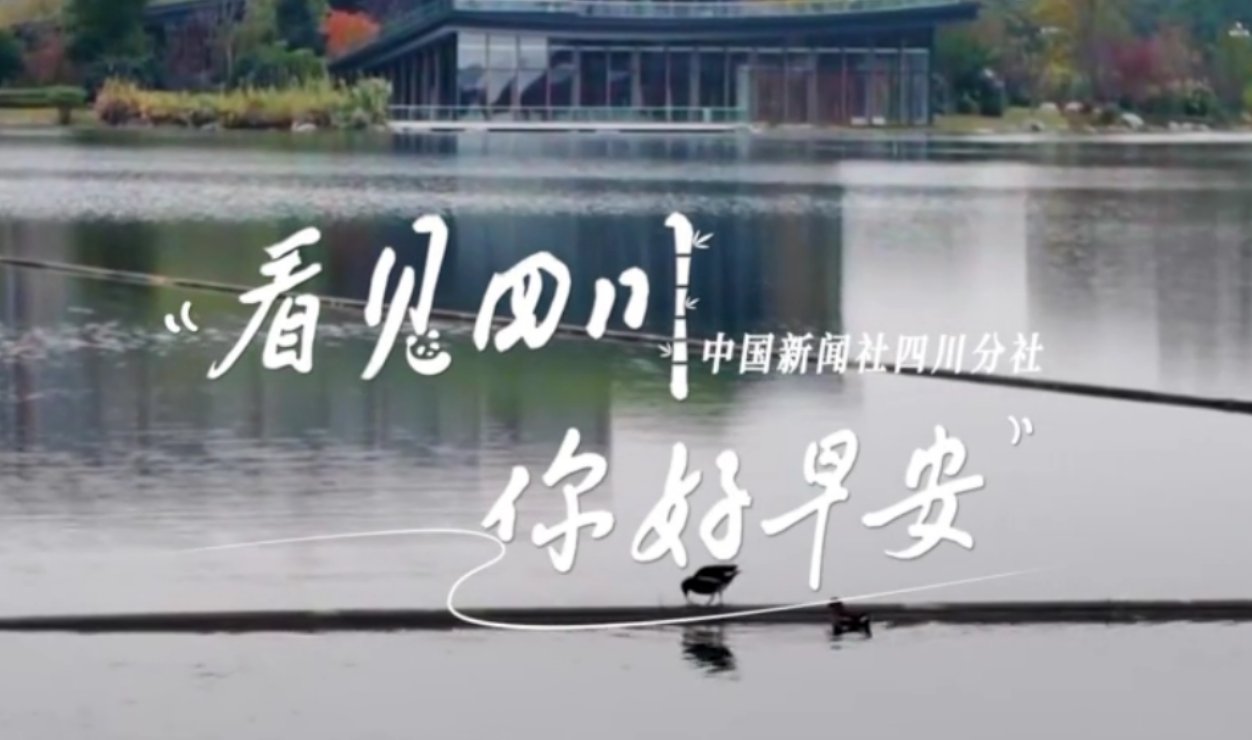 与锦绣天府电视塔的现代剪影相映成趣