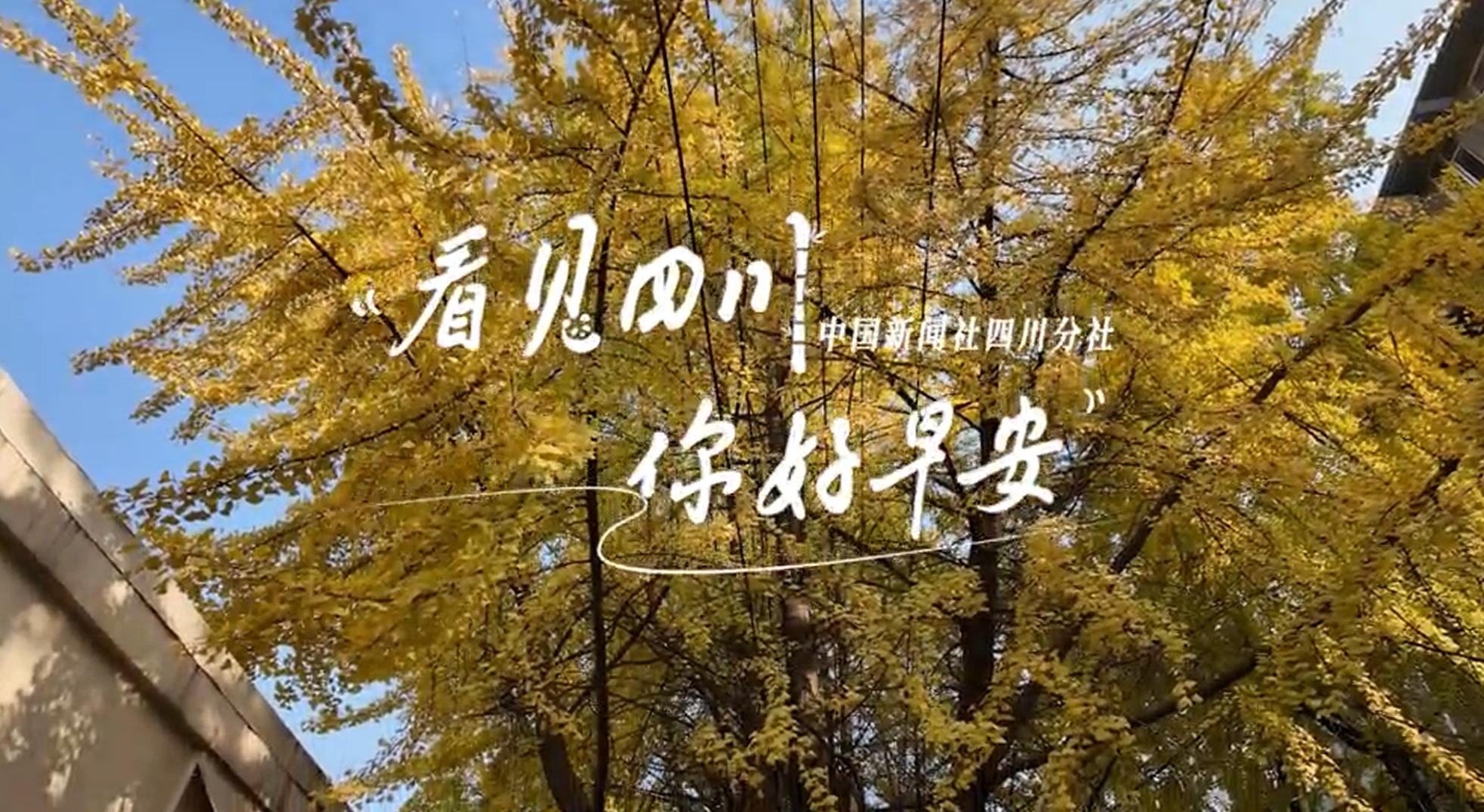 解说你看