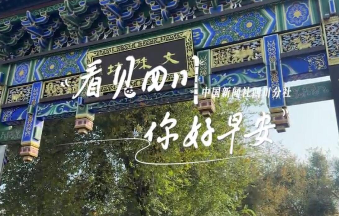 解说平武报恩寺百年玉兰迎来盛花期