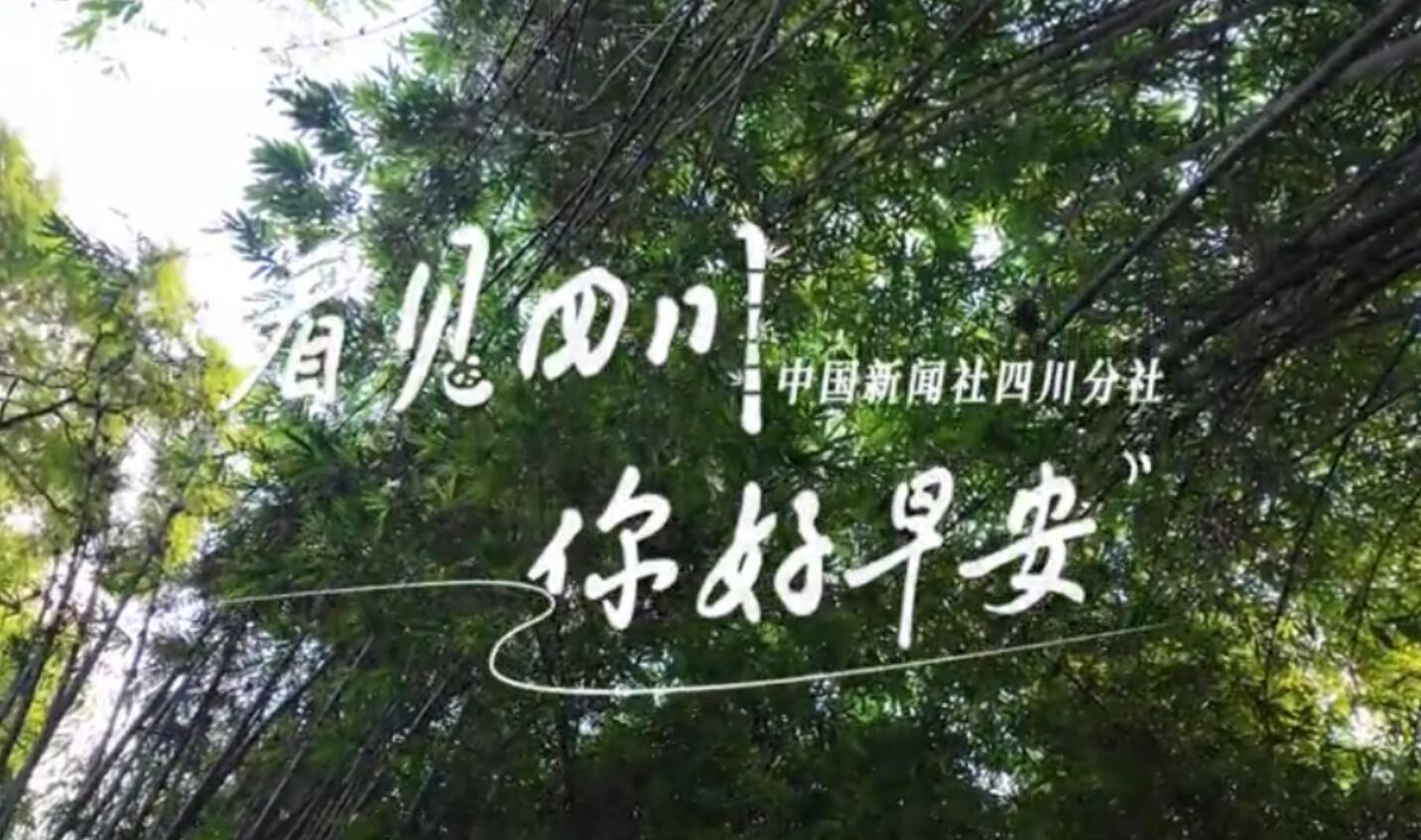 继续了解看见盈盈彩app下载限时优惠