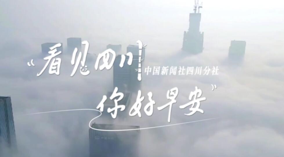 数十张火锅桌错落有致地摆放在花海中
