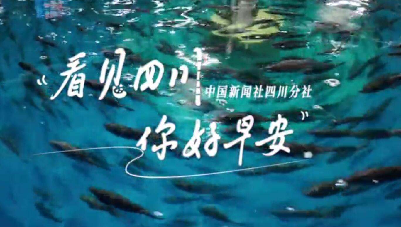 初春时节