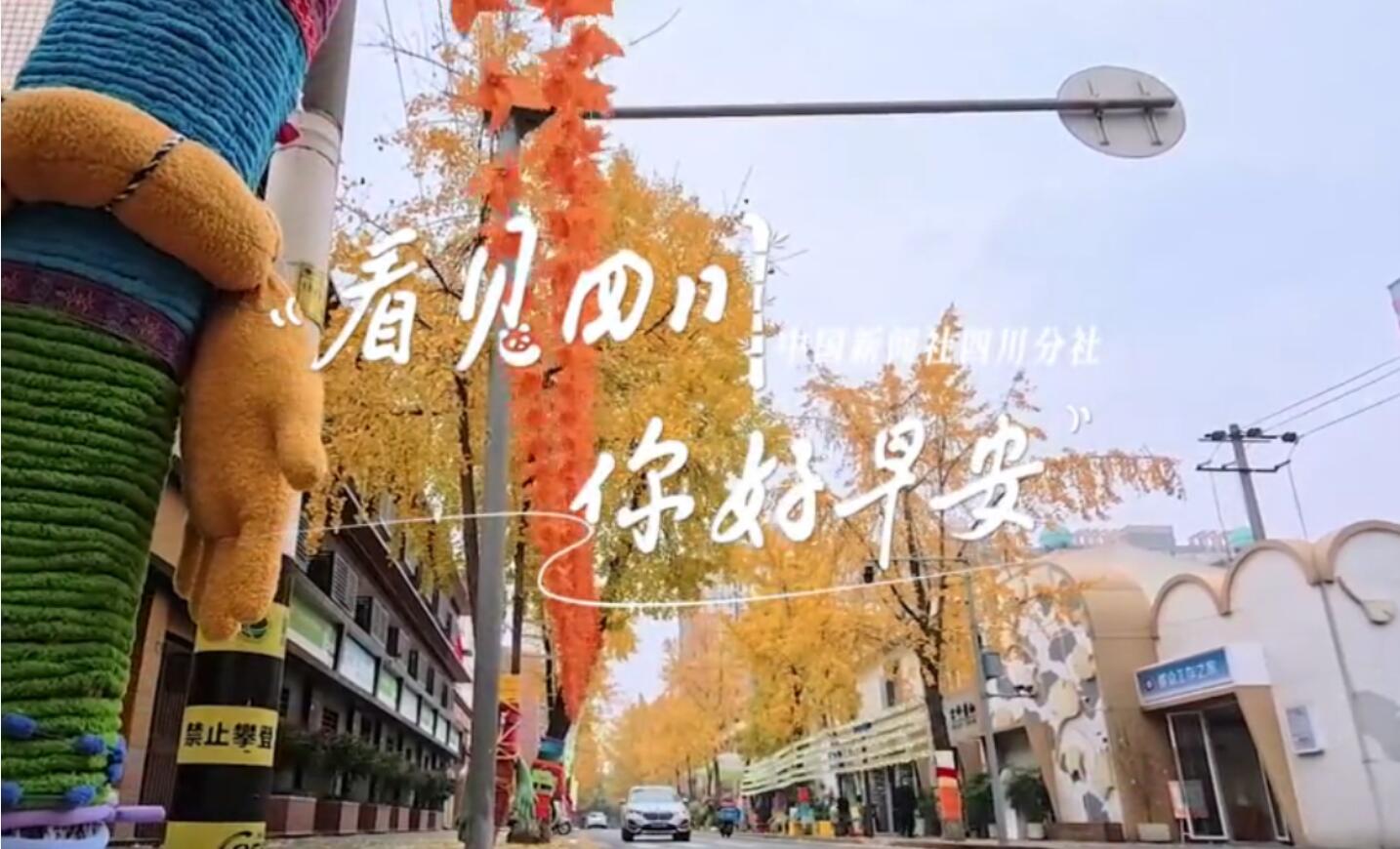 洁白的花朵缀满枝头