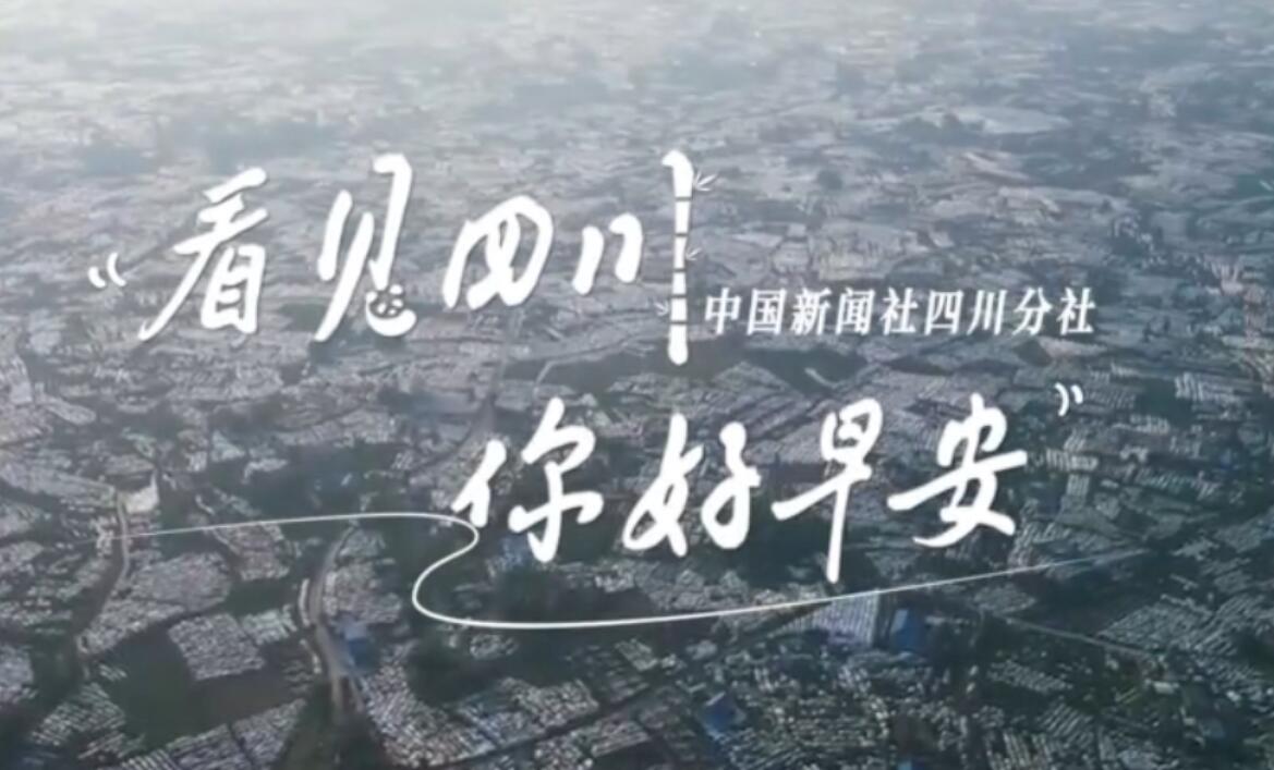 繁花缀满枝头