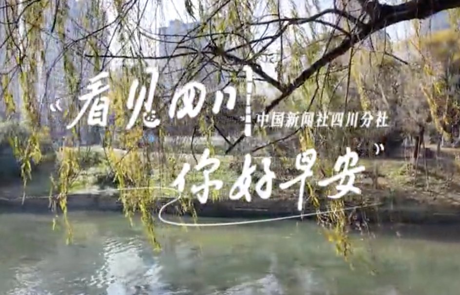 盈盈彩app下载限时优惠