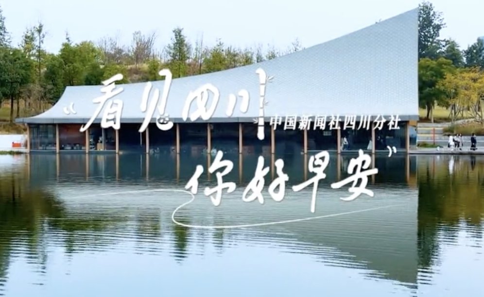 毛茸茸的