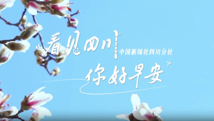 高大的泡桐树缀满钟形花冠