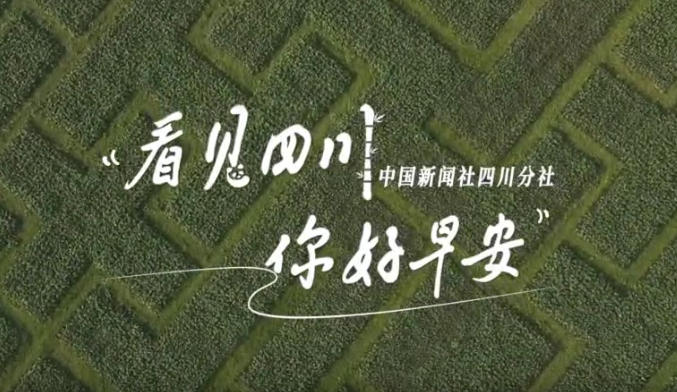 解说你看