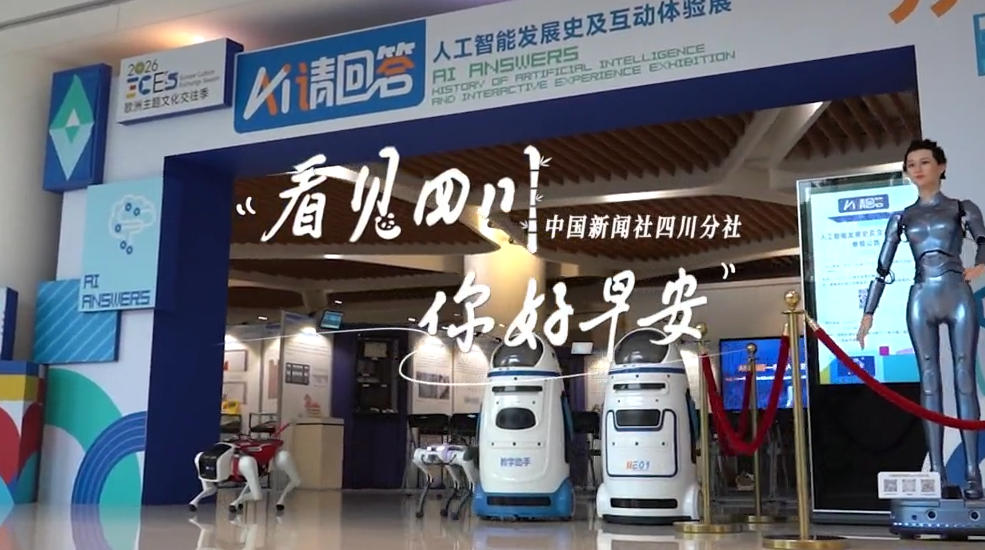 盈盈彩app官网
