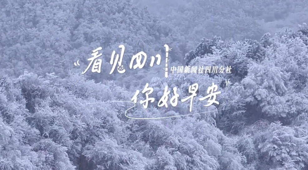 一芽一芽往外窜