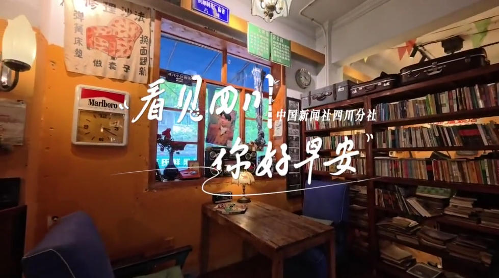 雅安雨城区茶山上的茶树正冒新芽