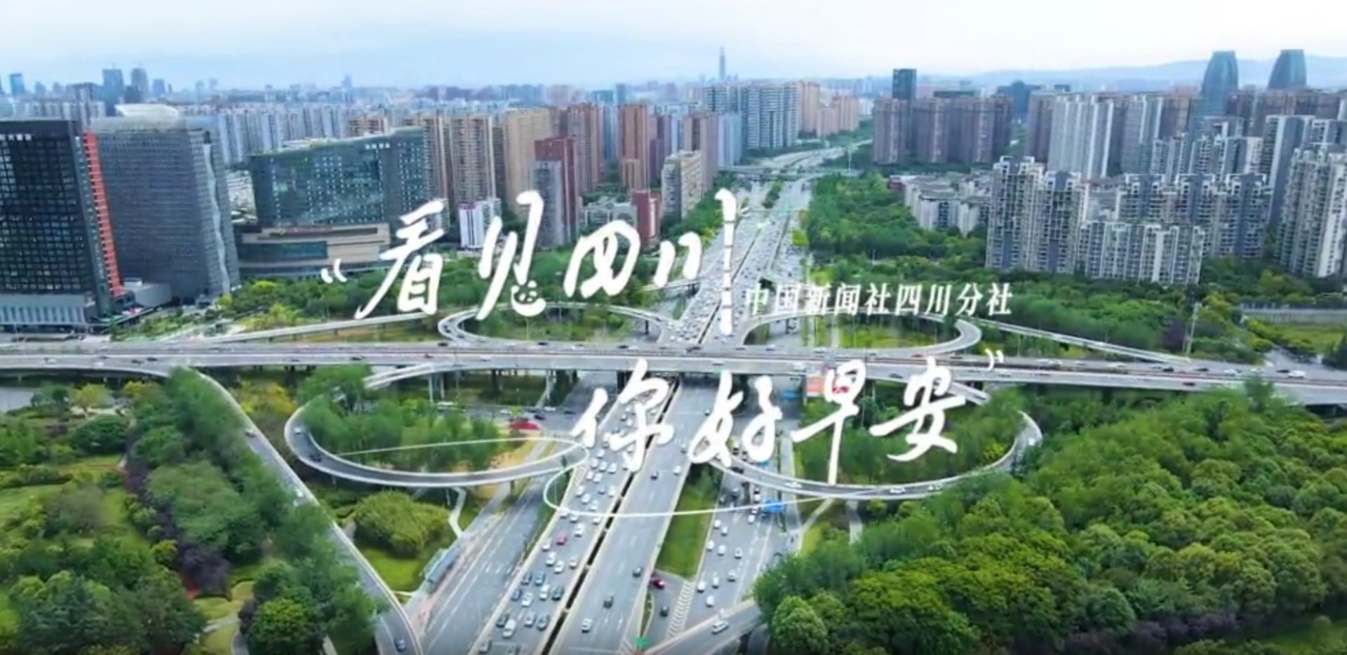 洁白的花朵缀满枝头