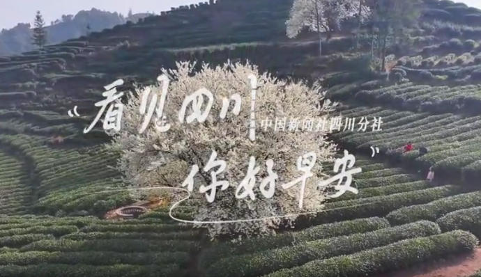 一边体验美食