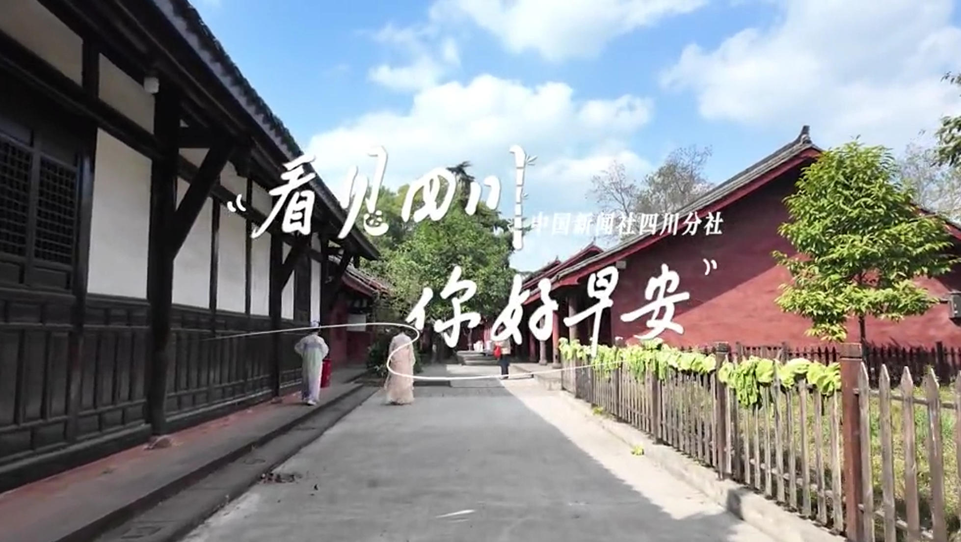 解说乐至县城市主干道的紫叶李花迎春绽