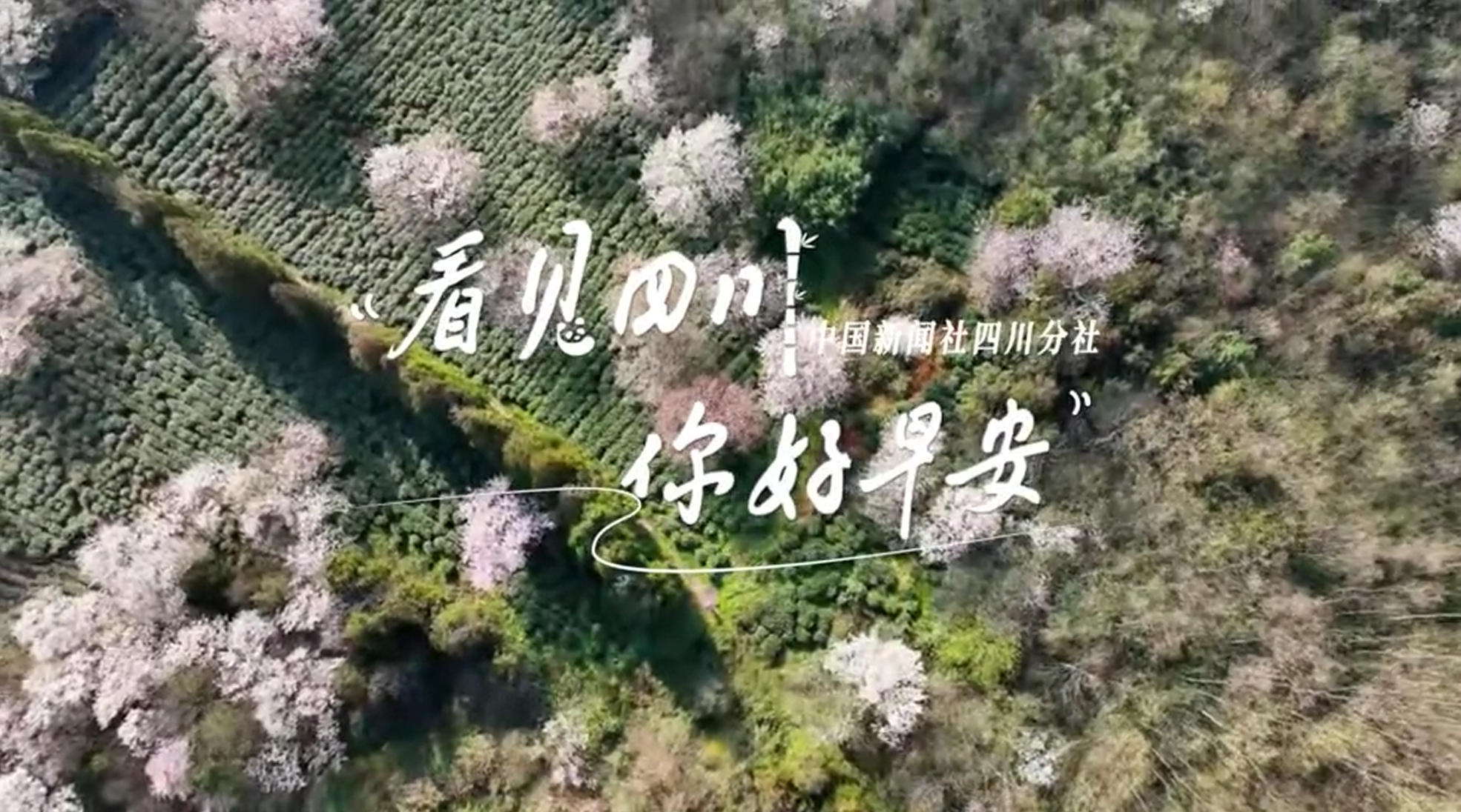 解说今天