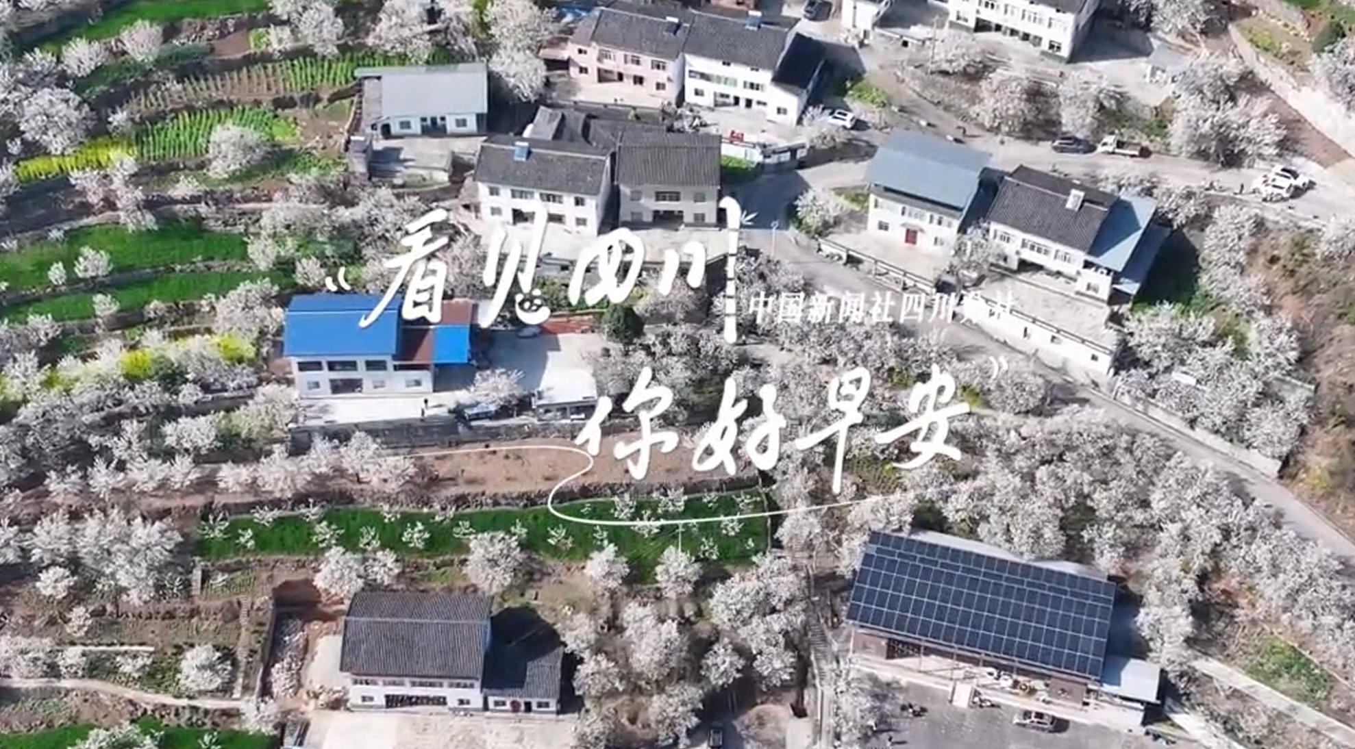 满足游客赏灯游玩的需求
