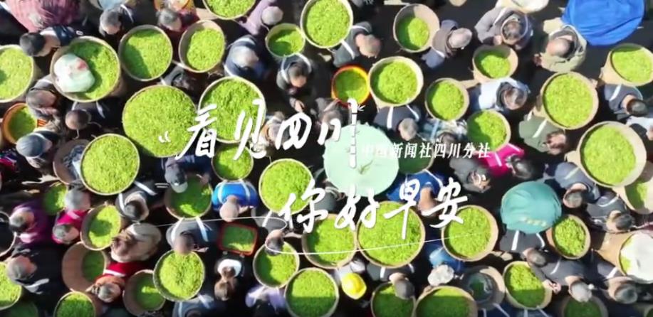 继续了解看见盈盈彩app下载限时优惠