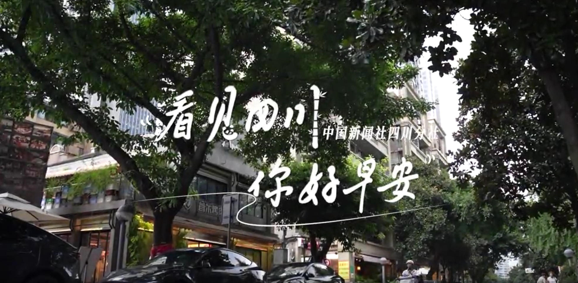 列车与盛放的油菜花构成一幅灵动的春日