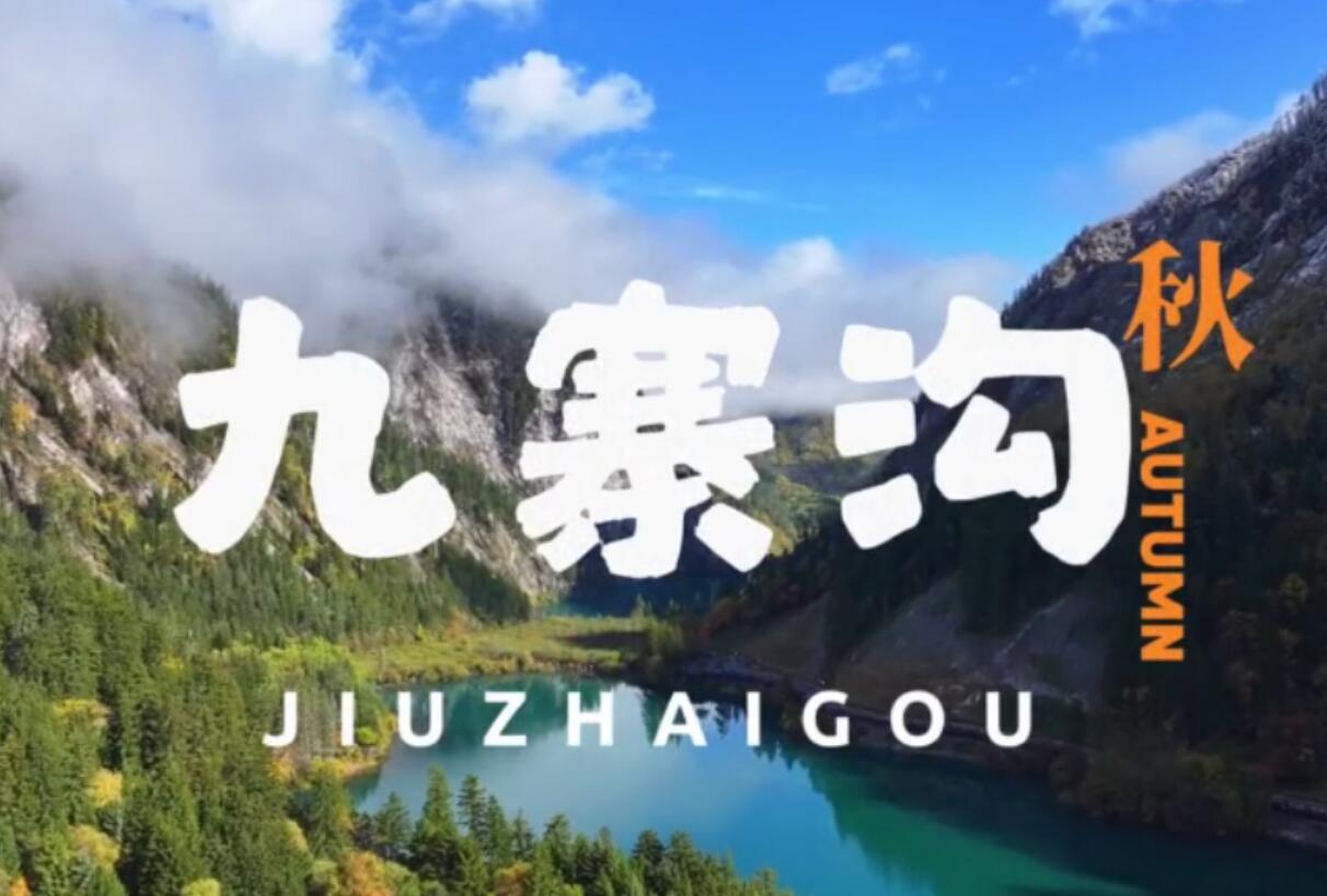 守护六大核心能力于一体