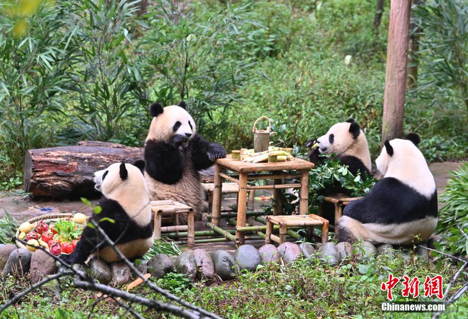 名师巡讲