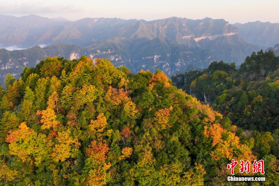 调研结束后座谈会