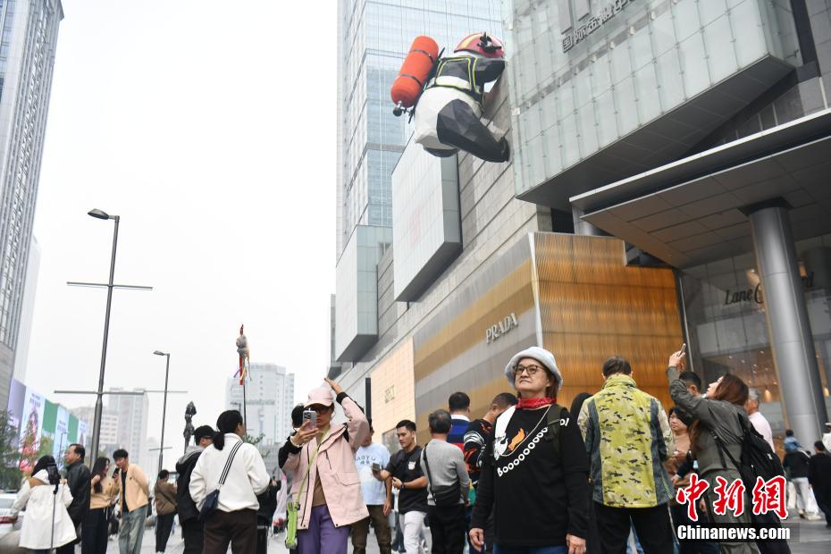 灵活性和实效性