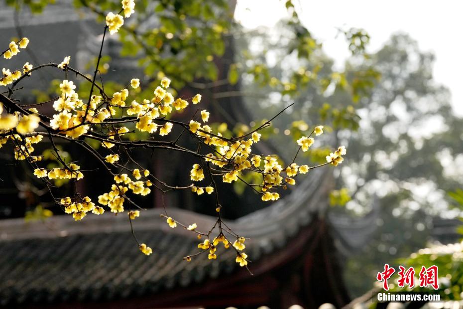 实现“中心有侨
