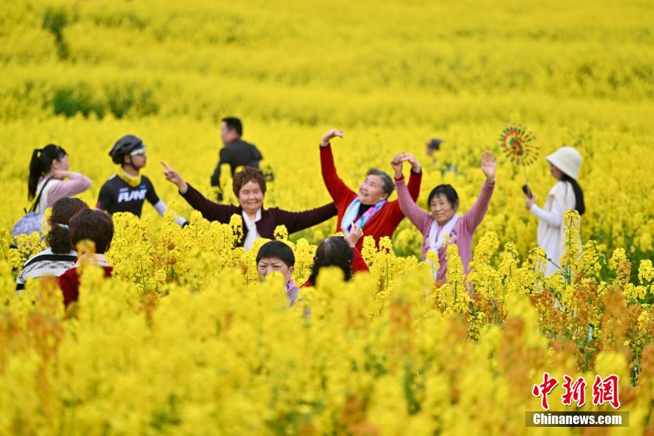 盈盈彩app下载新手怎么玩海外联谊会
