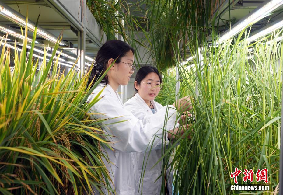 积极为中法两地医学界