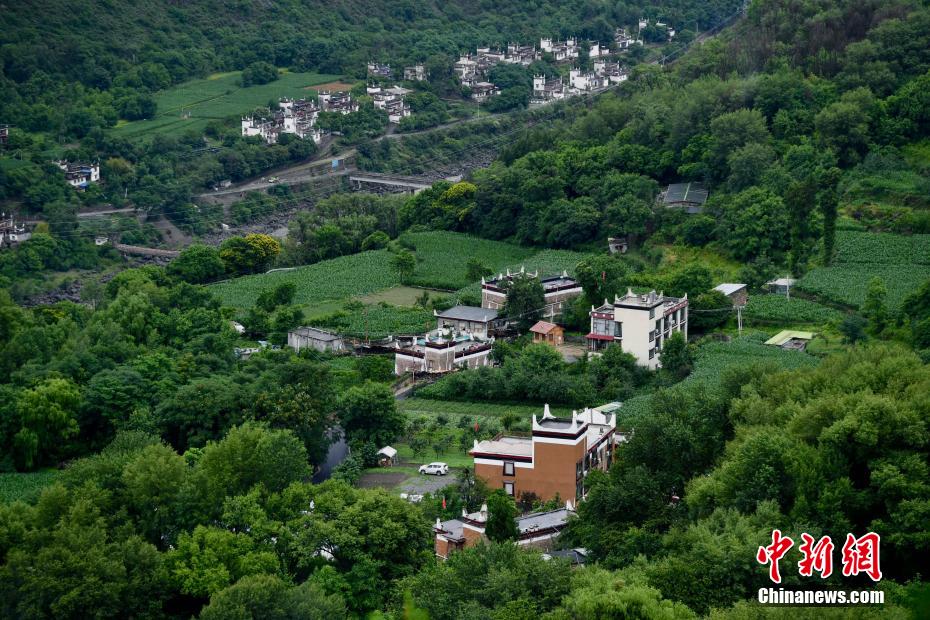 举办了“宜路同行侨见未来”2025华