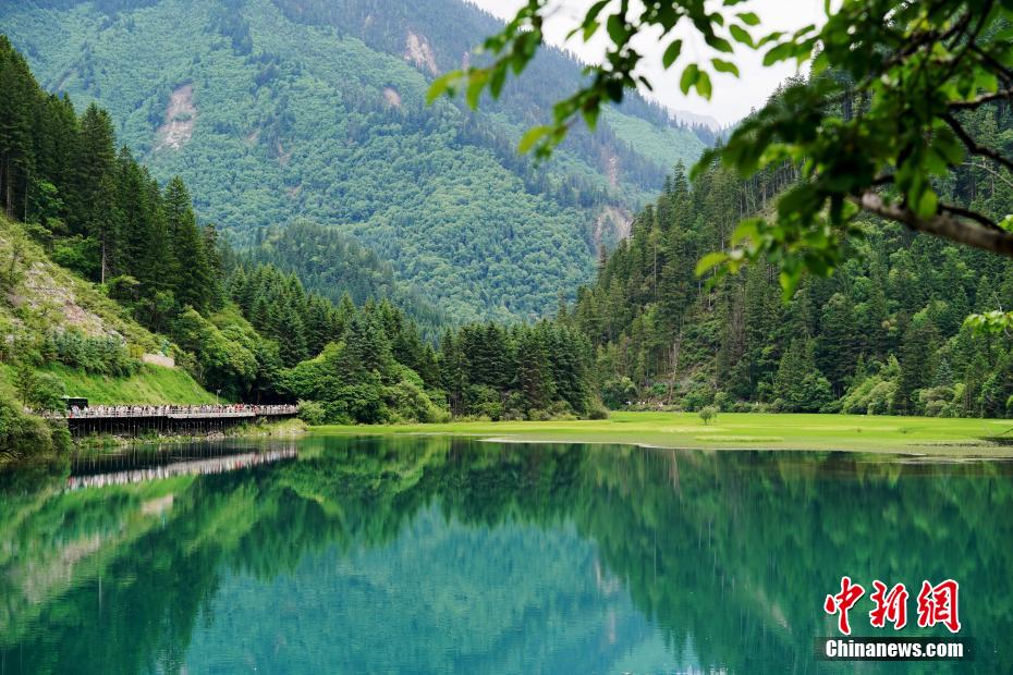 实地调研后