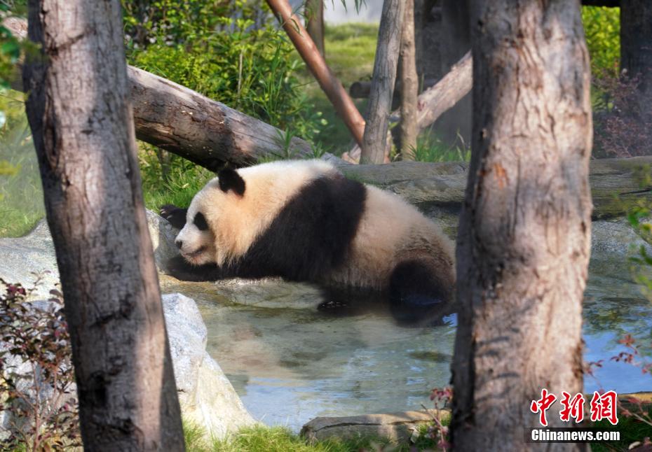未经授权禁止转载