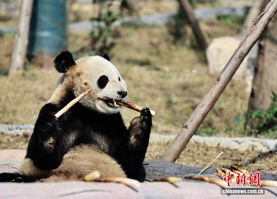 未经授权禁止转载