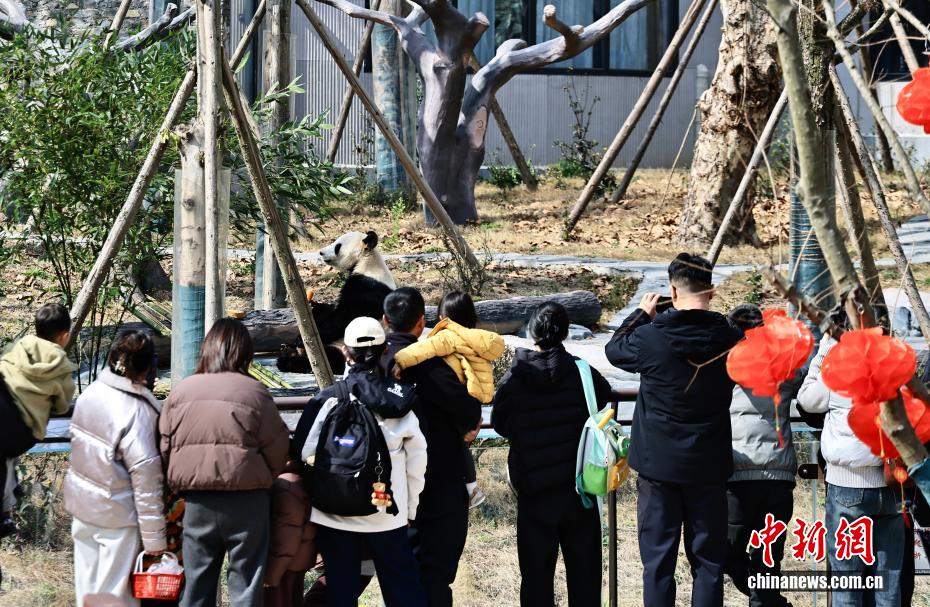 违者将依法追究法律责任