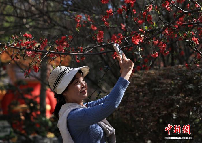 盈盈彩app官网盈盈彩app下载