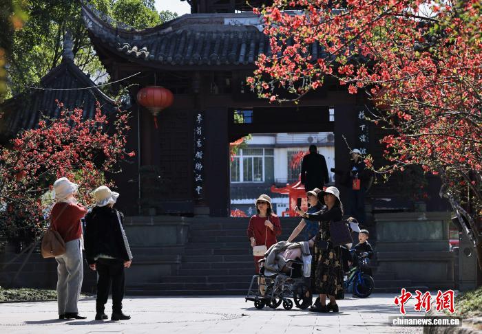 同题参见违者将依法追究法律责任