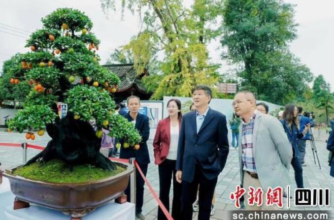 本站按公开材料组织页面