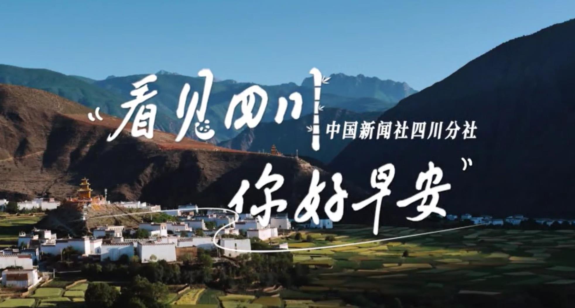 一棵高20米